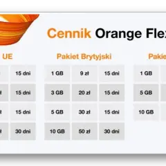 Ile kosztuje roaming w Orange i jak zminimalizować wydatki?