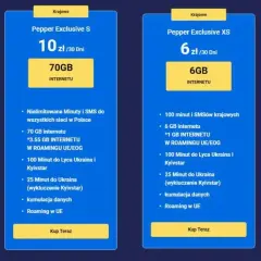 Która sieć ma najwięcej internetu w roamingu i co warto wiedzieć?