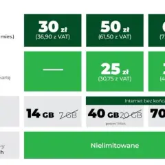 Jakie są dostępne pakiety internetu w roamingu Plus i ich limity?