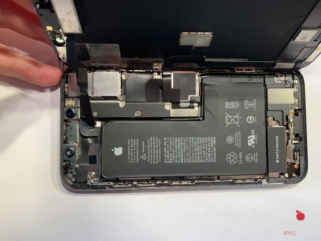 Rozłożony iPhone po zalaniu. Co zrobić, gdy telefon wpadnie do wody? Zobacz wnętrze i dowiedz się, jak ratować urządzenie.